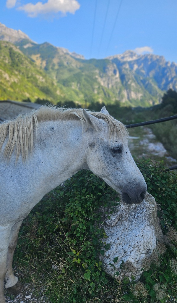 kierunek-balkany-lato-2025-odcinek-7-theth-albania-2868.jpg