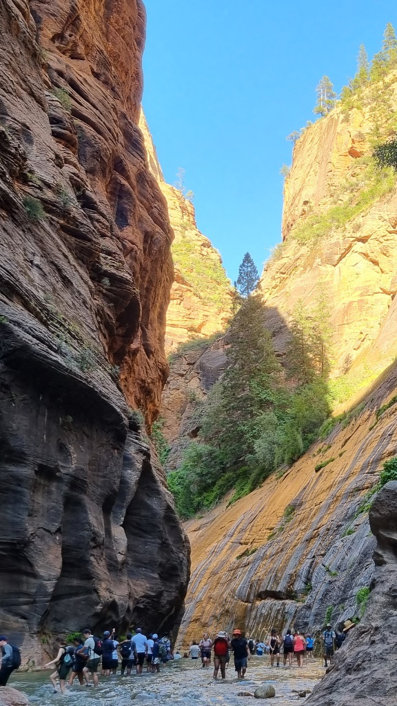 lato-2023-usa-odcinek-2-park-narodowy-zion-1613.jpg