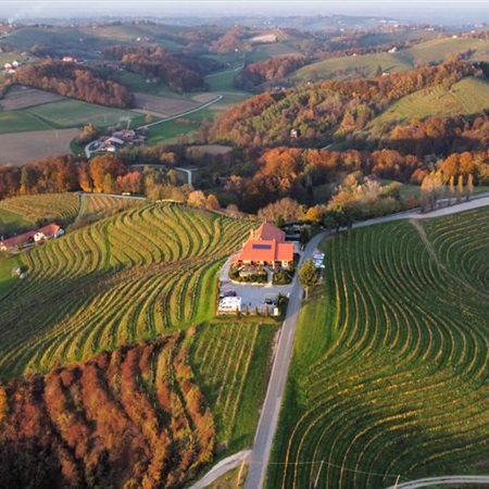 Jesienna podróż 2022 Winnice Moraw i Słowenii – Cellars Plze, Mikulov, Ptuj i Jeruzalem
