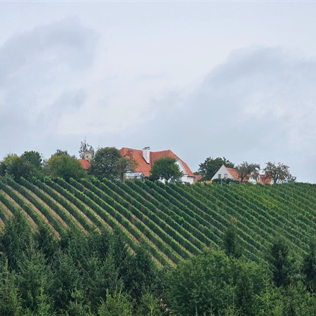 Kierunek Bałkany! Lato 2025. Odcinek 2 w drodze – Kitzeck im Sausal, Styria