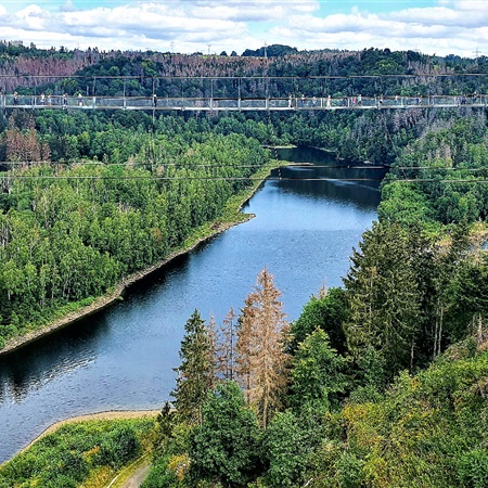 Wakacje 2020 Przystanek 2 Most wiszący w górach Harzu