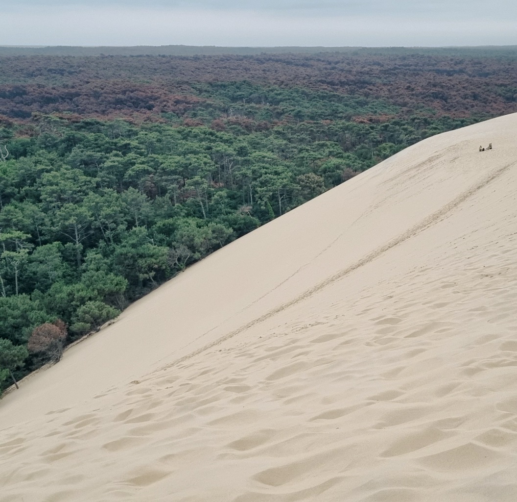 wakacje-2022-przystanek-3-dune-du-pyla-najwieksza-wydma-europy-907.jpg